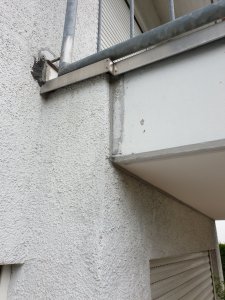 20200620_125553.jpg