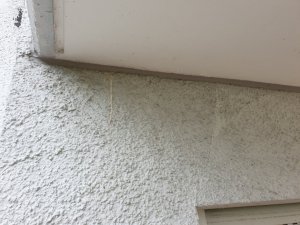 20200620_125547.jpg