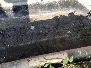 IMG-6691.jpg