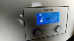 Vaillant.jpg