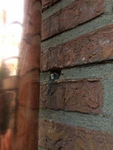 IMG_1470.JPG