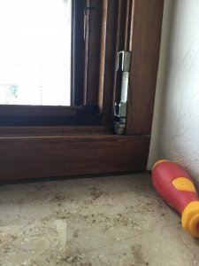 C36566B9-5616-4DED-A74A-FBB3891D22CF.jpeg