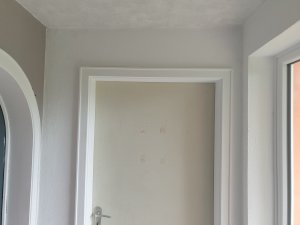 20200630_120537.jpg