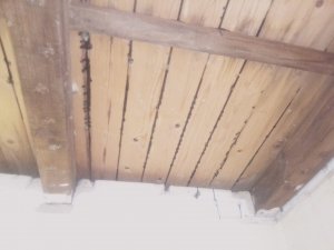 IMG_20200629_134548.jpg