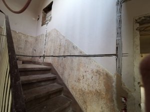 IMG_20191116_104842.jpg