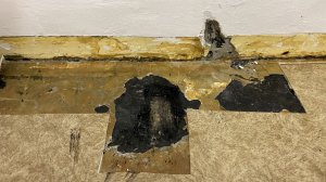 IMG_3734.JPG