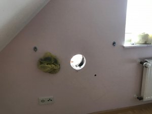 IMG_2372.jpg