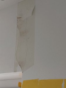 4C36F515-C5C3-4E4A-865B-17B183554682.jpeg