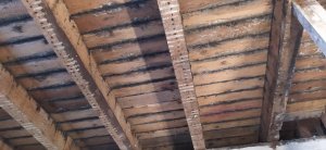IMG_20200716_120443.jpg