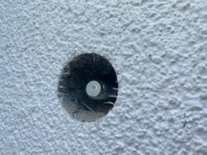 IMG_3387.jpeg