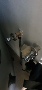 WhatsApp Image 2020-07-24 at 06.36.35.jpeg