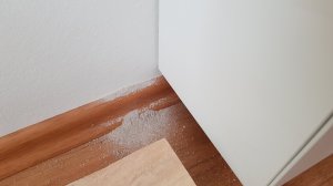 20200725_081816.jpg