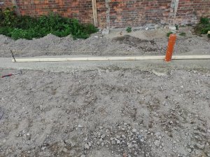 IMG_20200722_081849.jpg