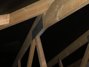 IMG_5170.JPG