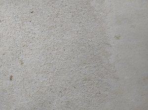 FCB14D23-5832-437B-A8CA-EF1993B854D7.jpeg