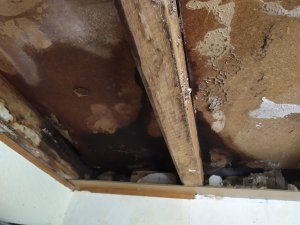 WhatsApp Image 2020-07-21 at 17.42.08 (2).jpeg