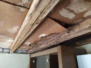 WhatsApp Image 2020-07-21 at 17.42.08 (1).jpeg