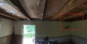 WhatsApp Image 2020-08-02 at 20.10.59.jpg