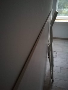 IMG_20200802_212041.jpg