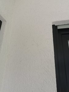 IMG_20200802_115140.jpg