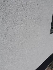 IMG_20200802_114942.jpg