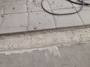 IMG_20200807_160640.jpg