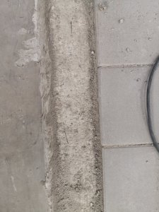 IMG_20200807_160634.jpg