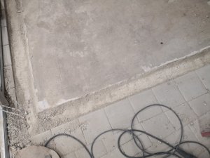 IMG_20200807_160618.jpg