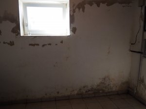 385056E3-9B44-48FD-9982-5D20B04BDB80.jpeg