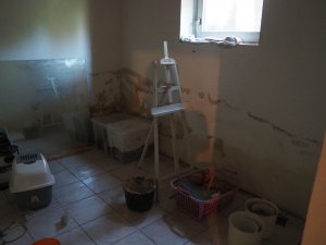 35558B84-D0F8-43CB-9337-C5759A143403.jpeg
