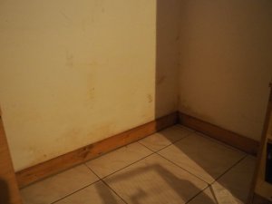 733A1895-F8AE-43E7-86F6-A2545282B2FE.jpeg