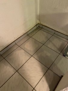 73D074B8-22D9-4FA0-892F-30E183D54855.jpeg