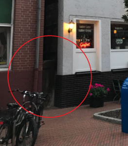 Sichtschutz erneuern.png