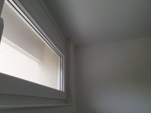 20200811_161503.jpg