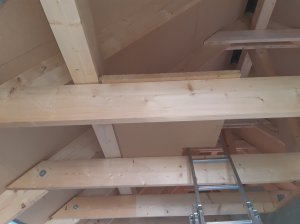 20200811_183731.jpg