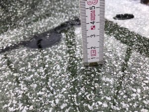 IMG_1964.JPG