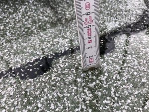 IMG_1965.JPG