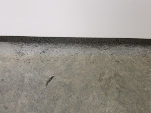 IMG_20200803_110615.jpg