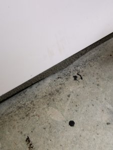 IMG_20200803_110604.jpg