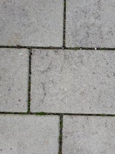 20191012_091119_resized_1.jpg