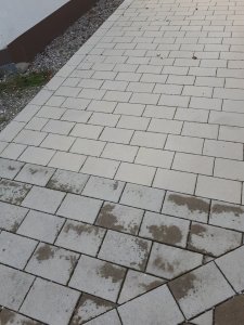 20191018_173119_resized_2.jpg