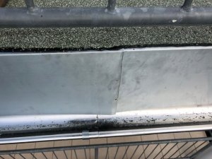 D597DA25-9FA8-46D4-B131-618B1059FCF7.jpeg