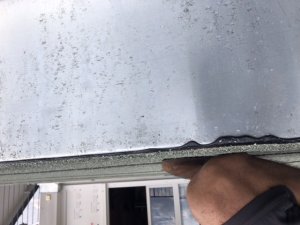 7D17E664-D721-47A5-AB6C-8663BAEA36CD.jpeg
