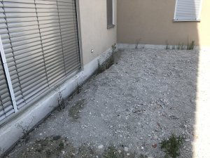 871B3242-88C9-4705-8DF2-64FDE55FE28E.jpeg