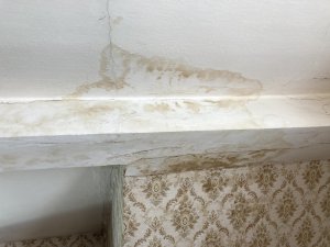 Feuchteschaden 1-1.jpg