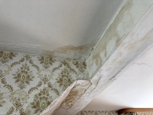 Feuchteschaden 1-2.jpg