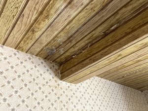 Feuchteschaden 2.jpg