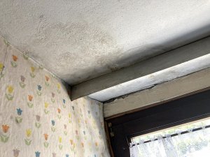 Feuchteschaden 4-1.jpg
