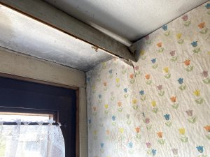 Feuchteschaden 4-2.jpg