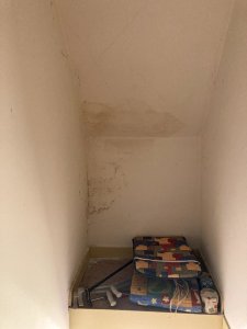 Feuchteschaden 5.jpg